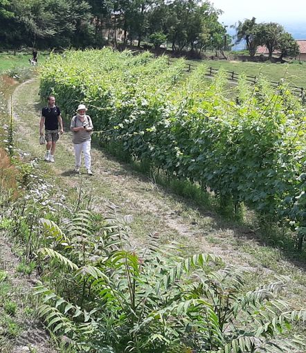 Il sindaco di Pinerolo vieta la caccia a Costagrande Il sindaco di Pinerolo vieta la caccia a Costagrande