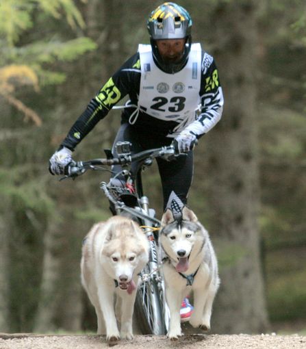 Un bibianese con i suoi Siberian Husky finisce in nazionale