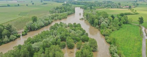 Un tratto del Pellice, oggetto di intervento