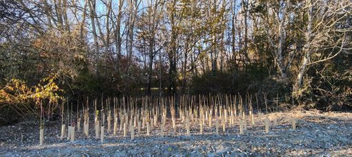 Immagine di repertorio