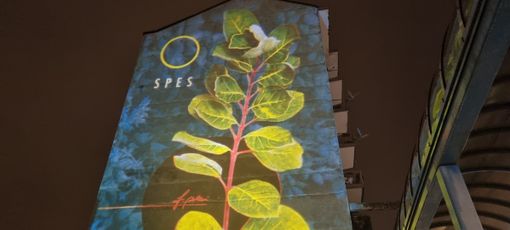 Pinerolo da stasera si veste di luci per accogliere il Natale Pinerolo da stasera si veste di luci per accogliere il Natale