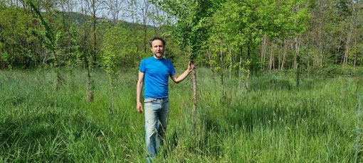 Francesco Calliero nel suo boschetto a Bricherasio Francesco Calliero nel suo boschetto a Bricherasio