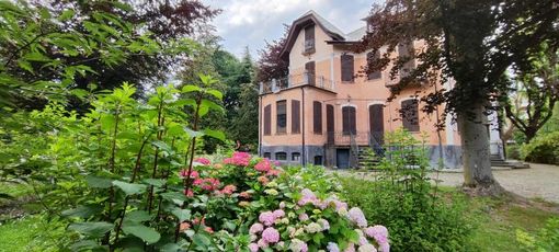 Le ortensie a Villa Prever a Pinerolo