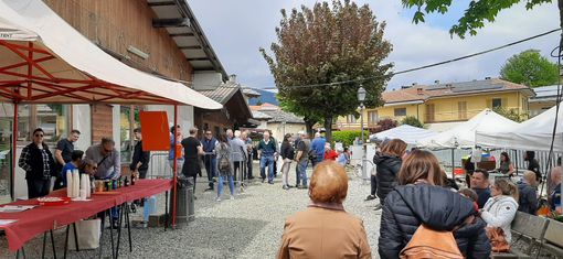 (Foto di repertorio) (Foto di repertorio)