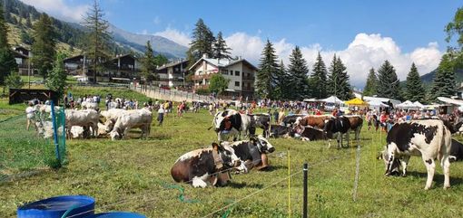 (Foto di repertorio)