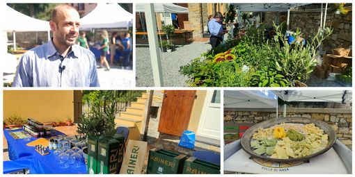 Collage di foto di un evento pubblico all'aperto