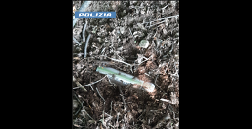 Nascondevano la droga nei boschi di Nichelino, arrestati per spaccio a Borgo Filadelfia Nascondevano la droga nei boschi di Nichelino, arrestati per spaccio a Borgo Filadelfia