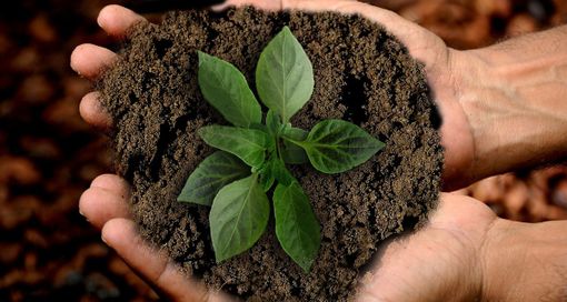 ItaliaViva fa il punto sull’agricoltura del Pinerolese ItaliaViva fa il punto sull’agricoltura del Pinerolese
