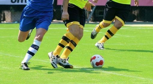 Il Piemonte scrive a Roma: &quot;Via libera in tempi brevi agli sport di contatto&quot;