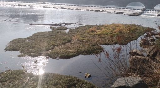 Clima pazzo, il Piemonte soffre più del resto del mondo: due gradi e mezzo in più in 61 anni Clima pazzo, il Piemonte soffre più del resto del mondo: due gradi e mezzo in più in 61 anni