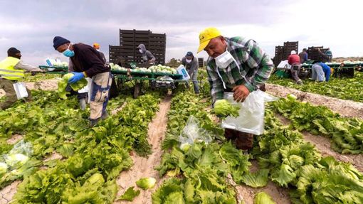 In Piemonte stop al lavoro per braccianti ed operai sotto il sole