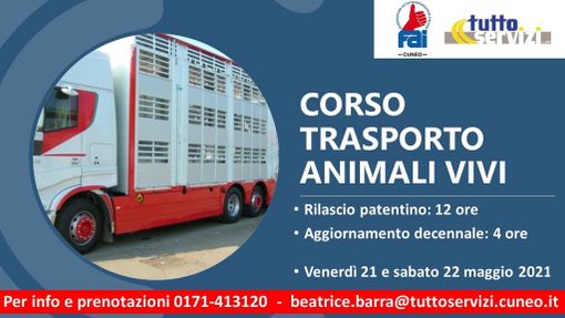 Iscriviti al corso “Conducenti trasporto animali vivi”