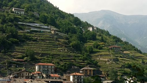 Dalle antiche vie della Val San Martino alla passeggiata nelle vigne di Ramìe Dalle antiche vie della Val San Martino alla passeggiata nelle vigne di Ramìe
