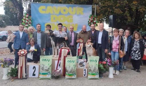 Cavour Dog Show: arriva la terza edizione