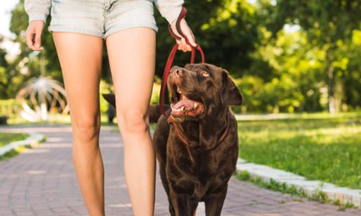 Immagine di repertorio Immagine di repertorio