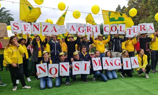 Coldiretti, allarme lavoro: a rischio un'azienda agricola giovane su 4 Coldiretti, allarme lavoro: a rischio un'azienda agricola giovane su 4