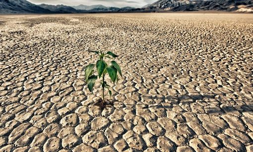 effetti della siccità effetti della siccità