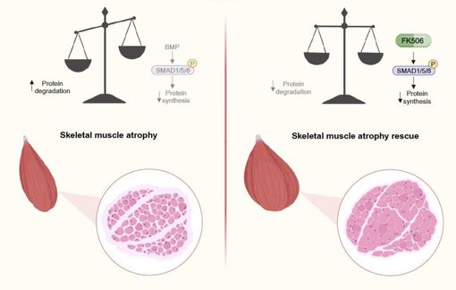 grafico di ricerca scientifica