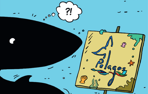 “Io sono Balenottera”: la balena parlante che racconta il Santuario Pelagos “Io sono Balenottera”: la balena parlante che racconta il Santuario Pelagos