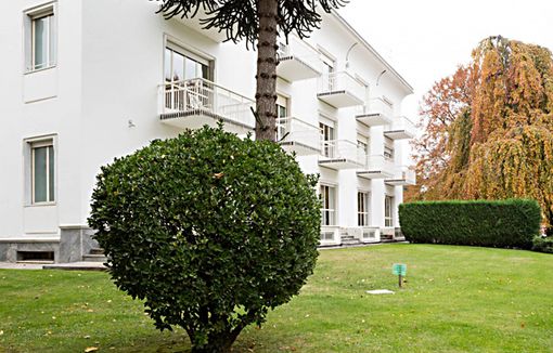 Il ritardo dello sviluppo del linguaggio del bambino Il ritardo dello sviluppo del linguaggio del bambino