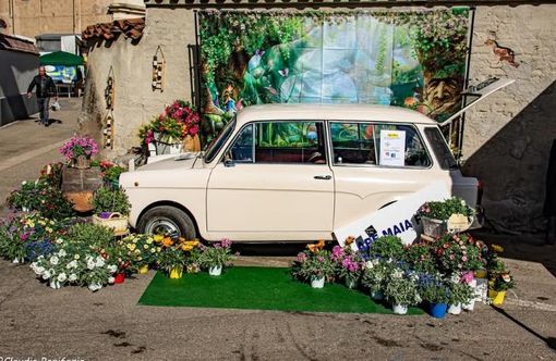 (Foto di Claudio Bonifazio)