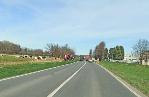 Candiolo: camion si ribalta nel fosso in via Sestriere Candiolo: camion si ribalta nel fosso in via Sestriere