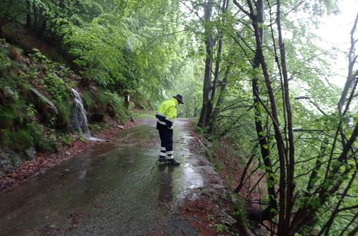 La zona del cedimento