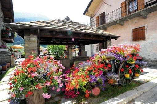 Scorcio di paese ricco di fiori