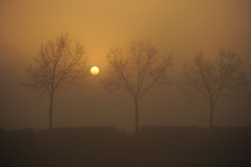 Meteo, su Torino e provincia una settimana mite, ma da sabato potrebbe peggiorare Meteo, su Torino e provincia una settimana mite, ma da sabato potrebbe peggiorare