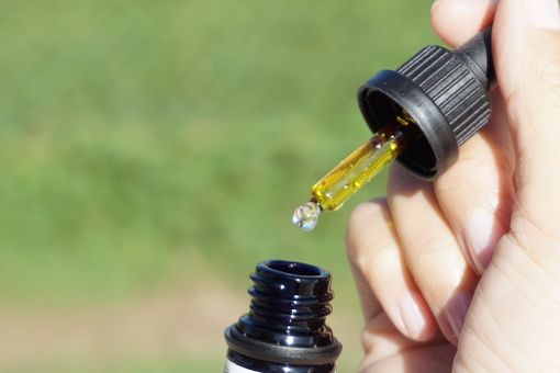 Olio CBD: un prodotto in rapida ascesa