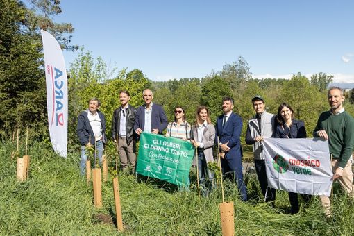 A Torino messe a dimora 750 piante per rigenerare cinque aree verdi urbane grazie ad Arca Fondi SGR e Gruppo BPER A Torino messe a dimora 750 piante per rigenerare cinque aree verdi urbane grazie ad Arca Fondi SGR e Gruppo BPER