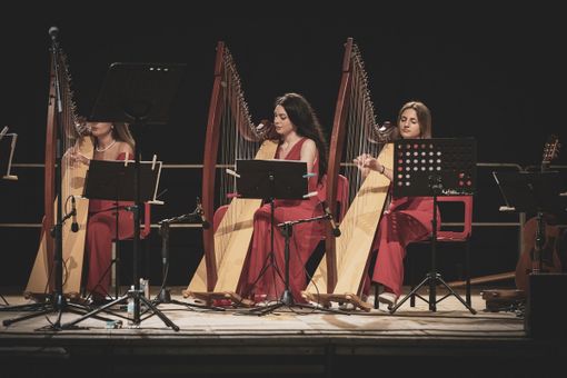 Dal 27 agosto al 1° settembre 2024 a Saluzzo avranno luogo il Concorso e il Festival Internazionale Suoni d’Arpa 2024 Dal 27 agosto al 1° settembre 2024 a Saluzzo avranno luogo il Concorso e il Festival Internazionale Suoni d’Arpa 2024