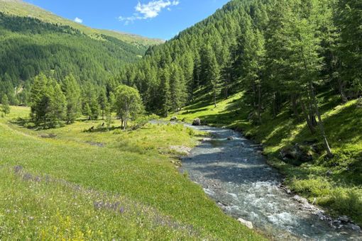Settimana green e "Green wall": il Des Ambrois "fa la scelta giusta" con docenti e studenti, dialogando con il territorio valsusino Settimana green e "Green wall": il Des Ambrois "fa la scelta giusta" con docenti e studenti, dialogando con il territorio valsusino