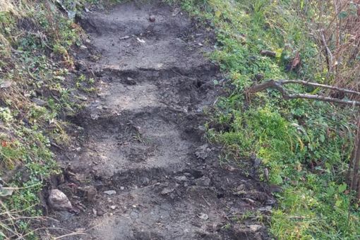 Alcuni dei gradini vandalizzati