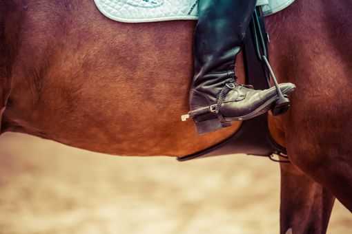Pinerolo aiuta le persone disabili a praticare sport Pinerolo aiuta le persone disabili a praticare sport