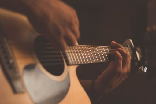Musicista