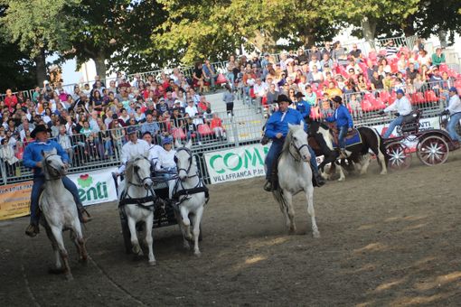 Mais e Cavalli a Vigone sotto la stella dei Giona Show Mais e Cavalli a Vigone sotto la stella dei Giona Show