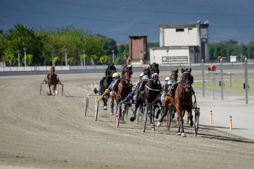 Ippodromo di Vinovo: il 1° settembre la pista riapre con il classico Gran Premio Marangoni Ippodromo di Vinovo: il 1° settembre la pista riapre con il classico Gran Premio Marangoni