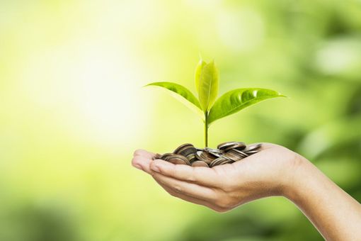 Ecobonus 2020: per i cittadini piemontesi il Codacons mette a disposizione uno staff tecnico specializzato