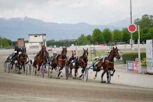 Tutto pronto a Vinovo per il via della stagione 2025 del trotto Tutto pronto a Vinovo per il via della stagione 2025 del trotto
