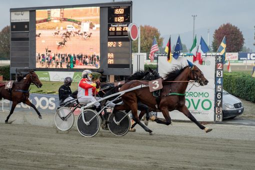 Ippica e ciclismo 'corrono assieme' all'ippodromo di Vinovo Ippica e ciclismo 'corrono assieme' all'ippodromo di Vinovo