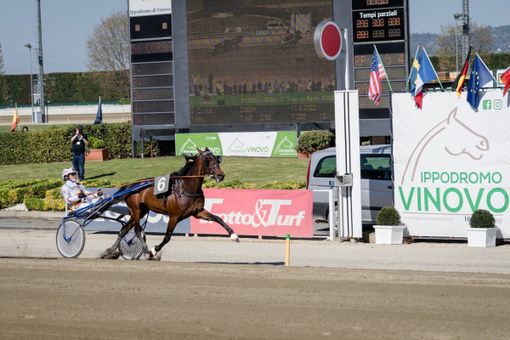 retta d'arrivo vinovo
