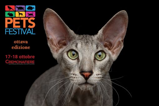 Petsfestival: per l’edizione 2020 sceglie Cremona Fiere Petsfestival: per l’edizione 2020 sceglie Cremona Fiere