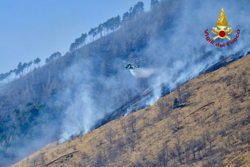 foto d'archivio foto d'archivio