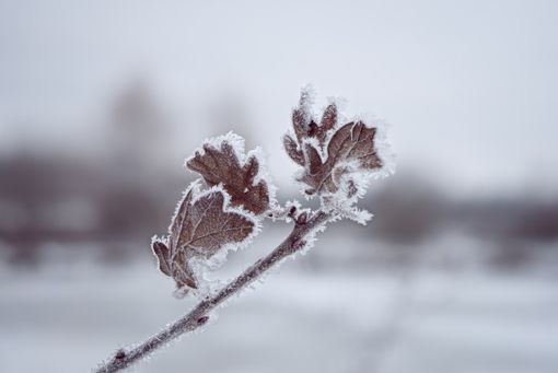 meteo freddo meteo freddo