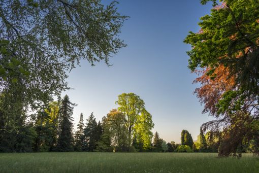 Da ottobre a dicembre a Miradolo 5 conversazioni intorno alla mostra di Giorgio Griffa Da ottobre a dicembre a Miradolo 5 conversazioni intorno alla mostra di Giorgio Griffa