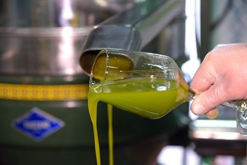 Slow Food ha presentato “La Guida agli Extravergini” 2022 per far conoscere oli, uomini e territori. BioDea un workshop seguitissimo Slow Food ha presentato “La Guida agli Extravergini” 2022 per far conoscere oli, uomini e territori. BioDea un workshop seguitissimo