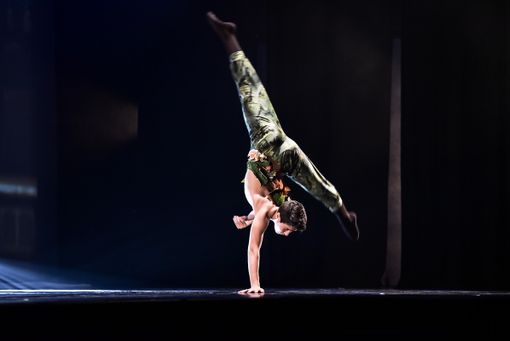 Il Centro Studio Danza Denise Zucca spegne dieci candeline: un trampolino di lancio per i ragazzi del territorio Il Centro Studio Danza Denise Zucca spegne dieci candeline: un trampolino di lancio per i ragazzi del territorio