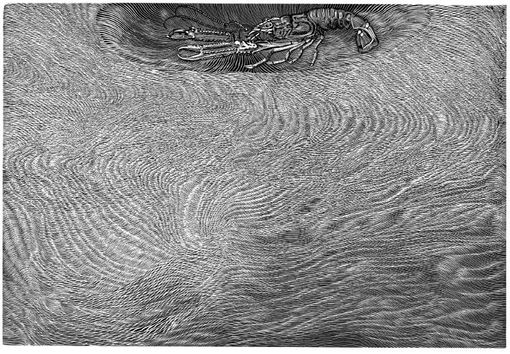 Scampo? di Guido Navaretti Scampo? di Guido Navaretti