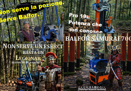 Balfor srl di Manta: la potenza a cui nessun tronco può resistere Balfor srl di Manta: la potenza a cui nessun tronco può resistere